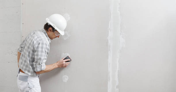 Best Mold Prevention Services  in Peru, IN