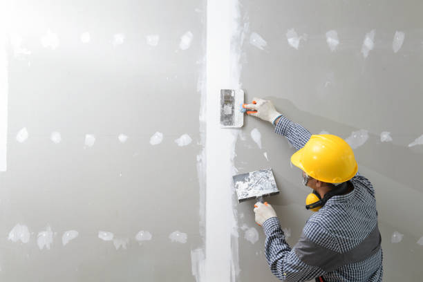 Mold Documentation for Insurance Claims in Peru, IN