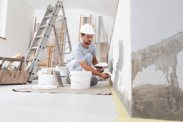 Best Biohazard Mold Removal  in Peru, IN