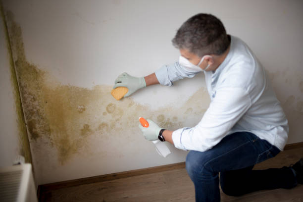 Best Mold-Related Health Consultation  in Peru, IN