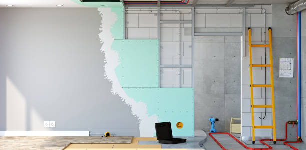 Best Mold Damage Restoration  in Peru, IN