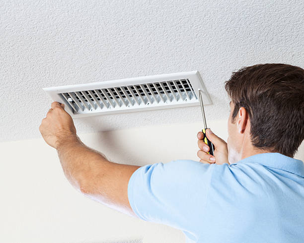 Best Crawl Space Mold Remediation  in Peru, IN
