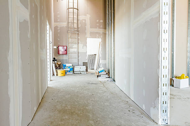 Best Industrial Mold Remediation  in Peru, IN