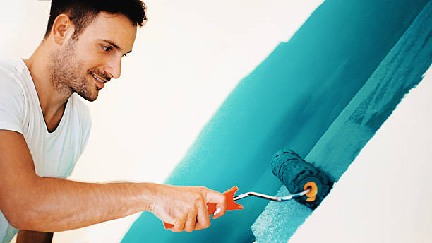 Best Mold Documentation for Insurance Claims  in Peru, IN
