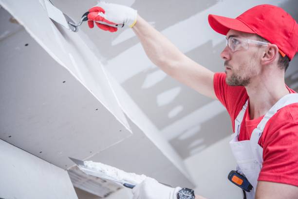 Best Environmental Consulting for Mold Prevention  in Peru, IN
